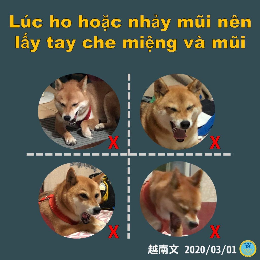 Bức ảnh tuy&ecirc;n truyền phi&ecirc;n bản tiếng Việt về c&aacute;ch thức ph&ograve;ng dịch bệnh l&acirc;y lan. Nguồn: Trang Facebook Bộ Y tế Đ&agrave;i Loan.
