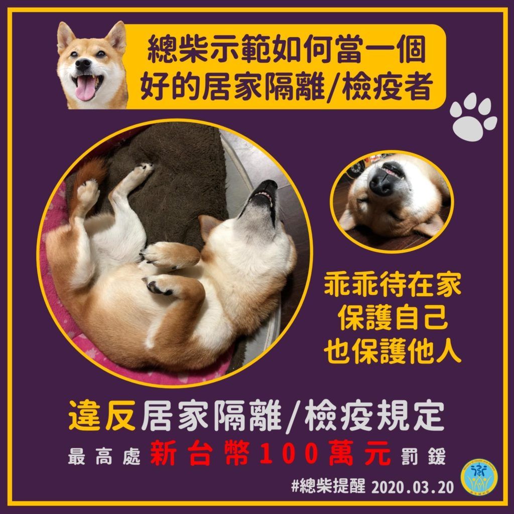 &ldquo;Chủ tịch ch&oacute;&rdquo; thị phạm việc thực hiện đ&uacute;ng hướng dẫn c&aacute;ch ly/ kiểm dịch tại nh&agrave;, k&egrave;m theo khuyến c&aacute;o mức phạt đối với h&agrave;nh vi vi phạm. Nguồn: Trang Facebook Bộ Y tế Đ&agrave;i Loan.
