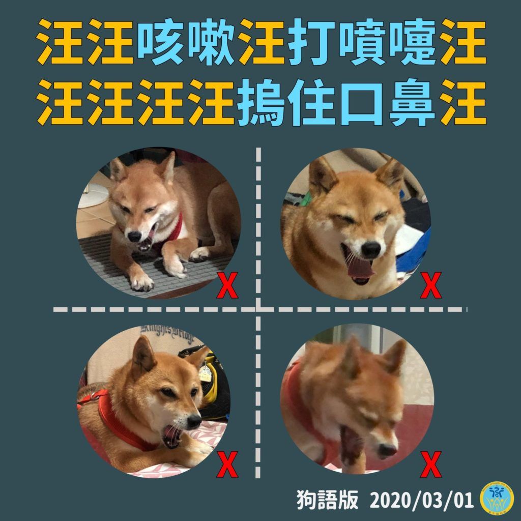 Phi&ecirc;n bản tuy&ecirc;n truyền theo tiếng ch&oacute;, với d&ograve;ng chữ &ldquo;G&acirc;u g&acirc;u, ho, g&acirc;u g&acirc;u, hắt x&igrave;, g&acirc;u g&acirc;u g&acirc;u g&acirc;u, nhớ che mũi miệng, g&acirc;u&rdquo;. Nguồn: Trang Facebook Bộ Y tế Đ&agrave;i Loan.