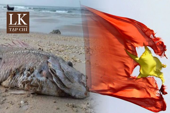 Vung ang_00000