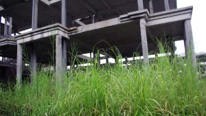 Nghiện ma túy có nên coi là tội phạm?